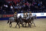 Quadrille - 00854